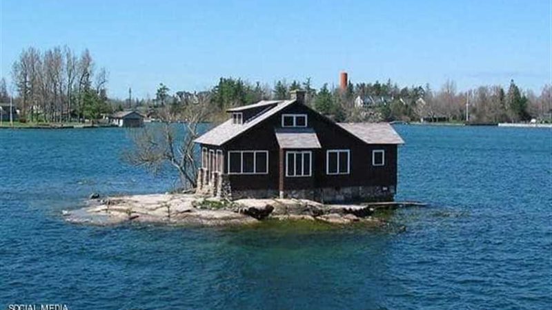 منزل وشجرتان... تعرف