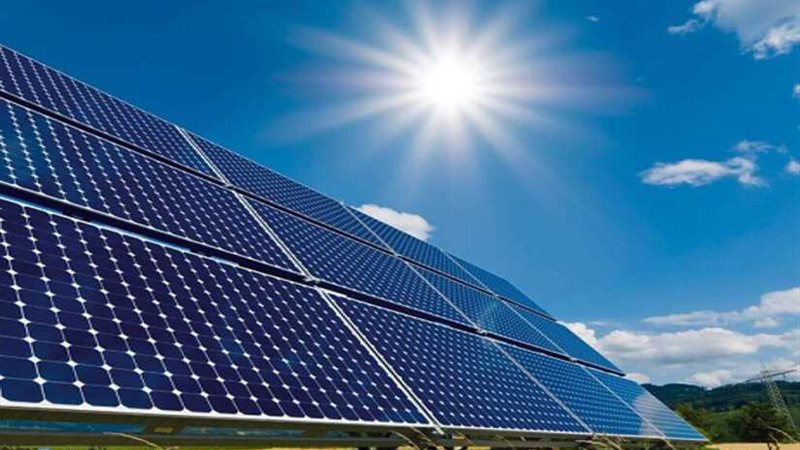 مسئول بالمعهد الدولي