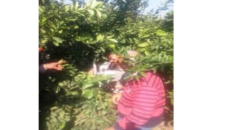 لجان لمتابعة المصايد