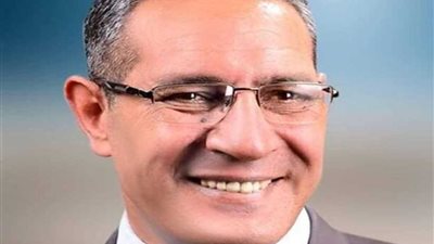 مساعد رئيس حزب 