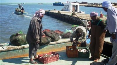 اليوم آخر أيام السروح للصيد ببحيرة البردويل