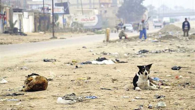 بسبب ترويع المواطنين..