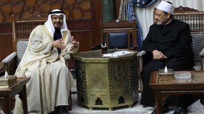 الإمام الأكبر: مستعدون للتعاون مع مؤسسة زايد لدعم القارة الأفريقية