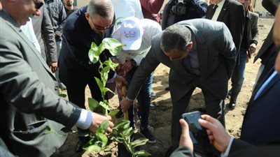 تعليم الوادي الجديد يبدأ تنفيذ مبادرة 