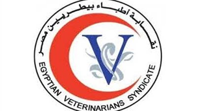 56 طبيبا يتقدمون بأوراقهم في خامس أيام فتح باب الترشح بالتجديد النصفي لـ