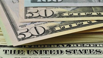 زوجة صحفي  تستحم في بانيو مليء بالدولارات (صورة)