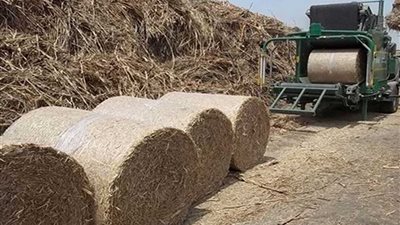 قنا تطلق حملة توعوية حول 