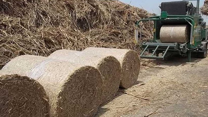 قنا تطلق حملة توعوية