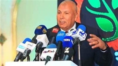 محافظ الوادي الجديد: 