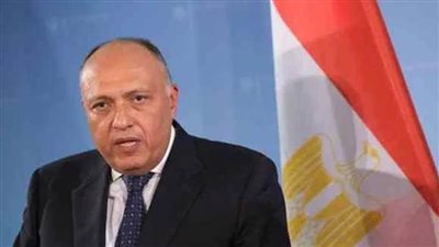 شكري يقوم بجولة عربية خارجية حاملًا رسالة من الرئيس السيسي