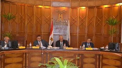 إنشاء مركز مواجهة المخاطر الفكرية بجامعة الإسكندرية