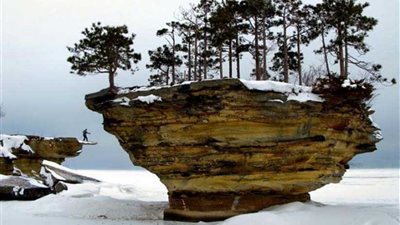 طبيعة صخرية وأشجار تنمو بلا ماء.. تعرّف على أغرب جزيرة بالعالم.. (صور)