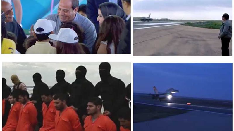 مسالم جداً ولكن مقاتل