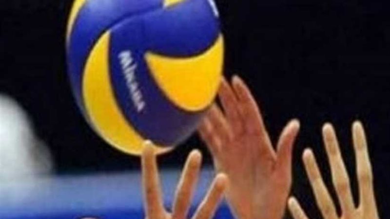 سيدات الشمس يتوجن