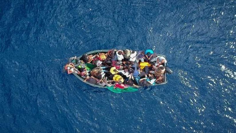 وزارة الدفاع الجزائرية: