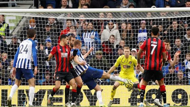 برايتون يفوز على