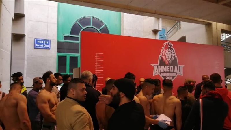 بوابة روز اليوسف