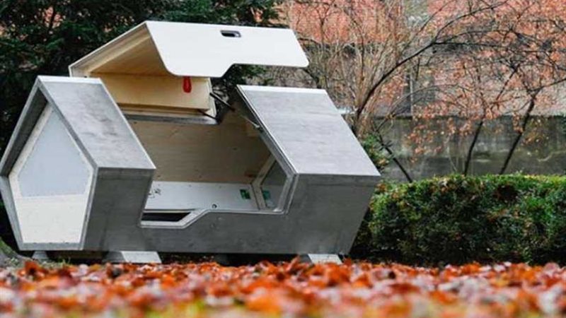 ألمانيا - كبسولة