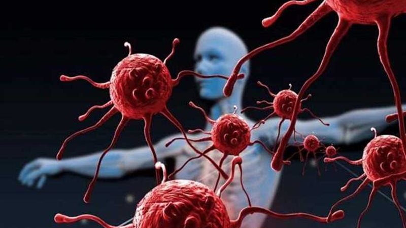 دراسة: روتين يومي