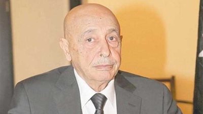 مسئول قبرصي: عقيلة صالح طلب إبلاغ الاتحاد الأوروبي رفضه التدخل التركي في ليبيا