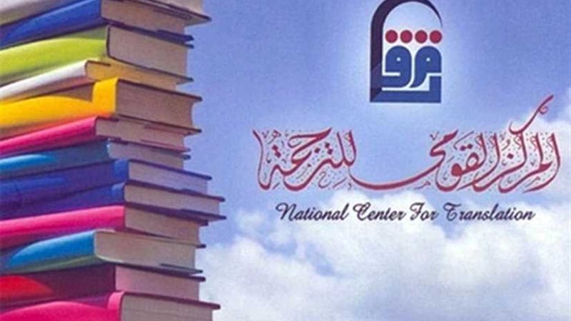 في استقبال عام مصر-