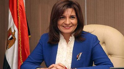 رعاية المواطنين في الخارج على رأس أولويات الدولة المصرية