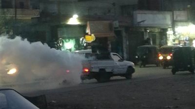 حملات وقائية لمنع انتشار الحشرات بالبحيرة