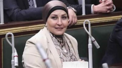 طلب إحاطة للحكومة بسبب تأخر إنشاء مركز الكلى في كفر الشيخ