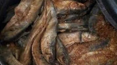 عاجل.. تسمم 5 إثر تناولهم 