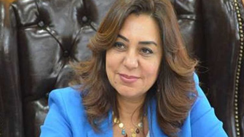 محافظ دمياط توجه