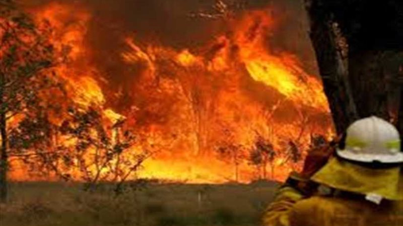 السلطات الأسترالية