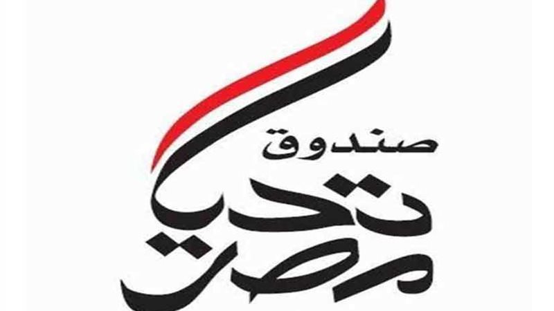 صندوق تحيا مصر: توزيع