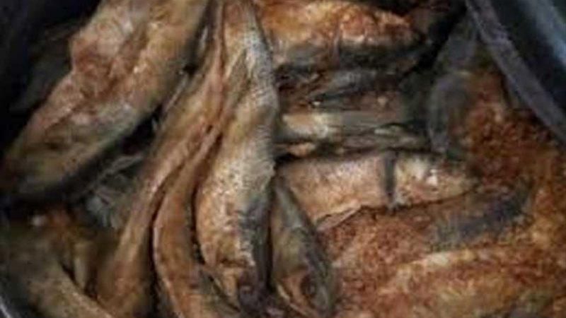 عاجل.. تسمم 5 إثر