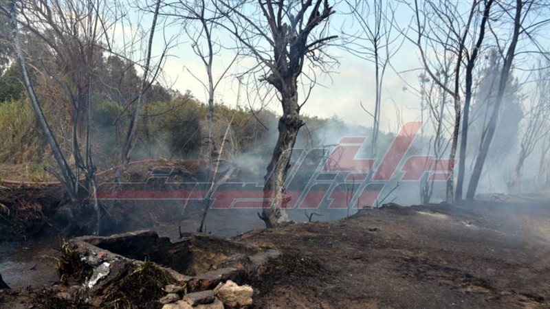 موقع الحريق