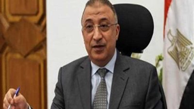 محافظ اﻹسكندرية: تنفيذ عملية التحول الرقمي وميكنة القطاعات الحكومية