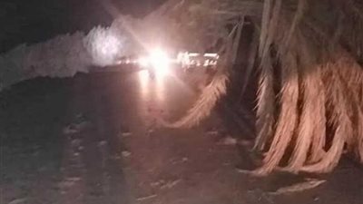 إصابة 6 أشخاص أثناء استقلالهم سيارة ميكروباص سقطت عليها نخلة بمركز البداري