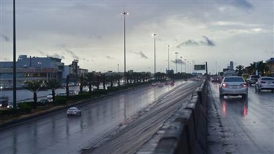 سقوط أمطار طفيفة في الوادي الجديد.. والمحافظ يرفع درجة الاستعداد القصوى 