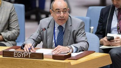 مصر أمام مجلس الأمن: ندعم دول الساحل في مكافحة الإرهاب ونرفض نشر الإرهابيين في ليبيا