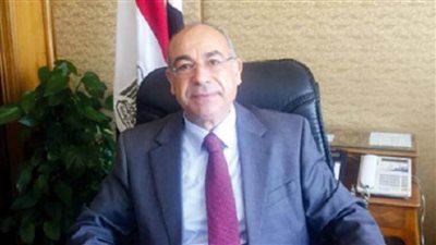 مصر تؤكد رفضها نشر المقاتلين الإرهابيين الأجانب في ليبيا