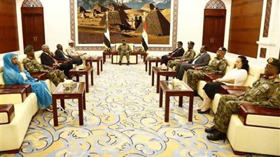مجلس السيادة السوداني يسعى لتطويق تداعيات أحداث الجنينة
