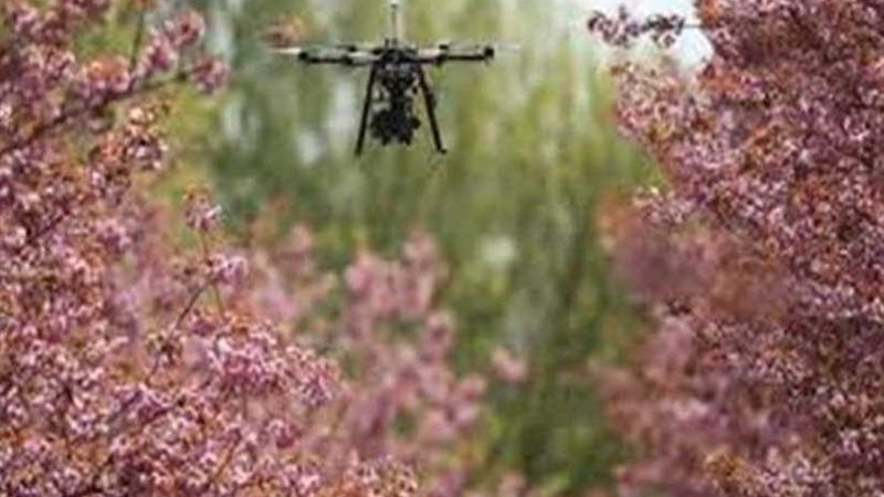 لمكافحة التغير المناخي