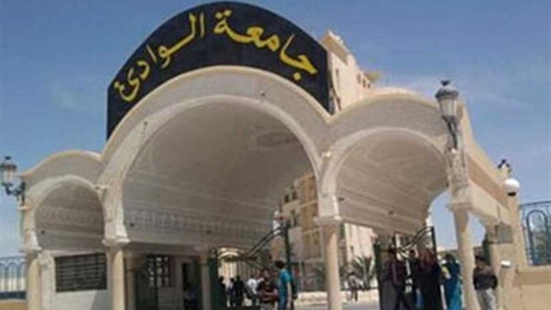 جامعة جنوب الوادي