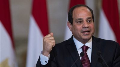 الرئيس السيسي يُشيد بتكاتف المصريين في مواجهة 