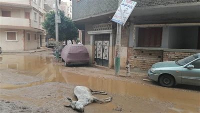 انقطاع التيار الكهربائي ومياه الشرب بقرى المنيا 