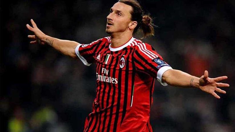 الطير المهاجر إبراهيموفيتش