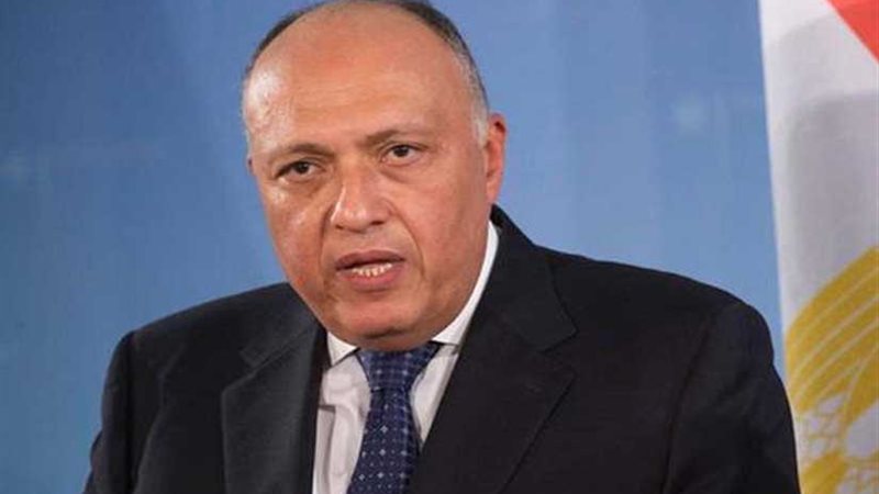 شكري يجري اتصالات