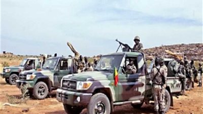 الجيش المالي يقتل إرهابيا ويصادر أسلحة شمال البلاد