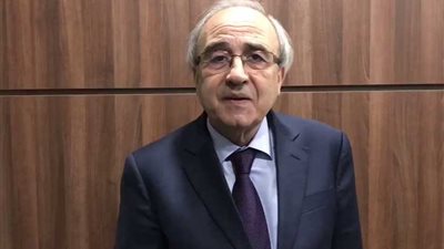 وزير العدل اللبناني: من غير المرجح أن يتم تسليم كارلوس غصن لليابان