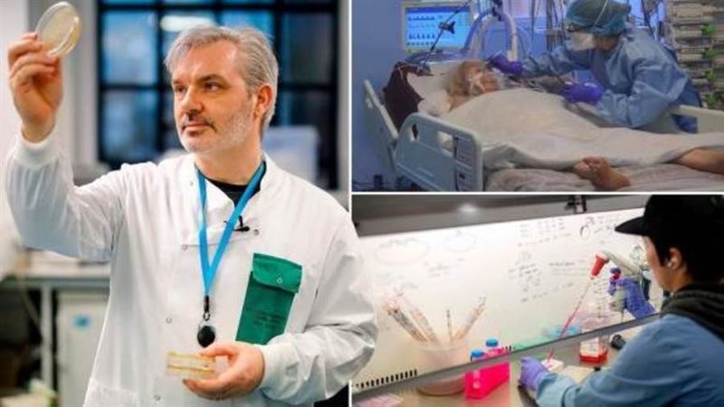 بوابة روز اليوسف