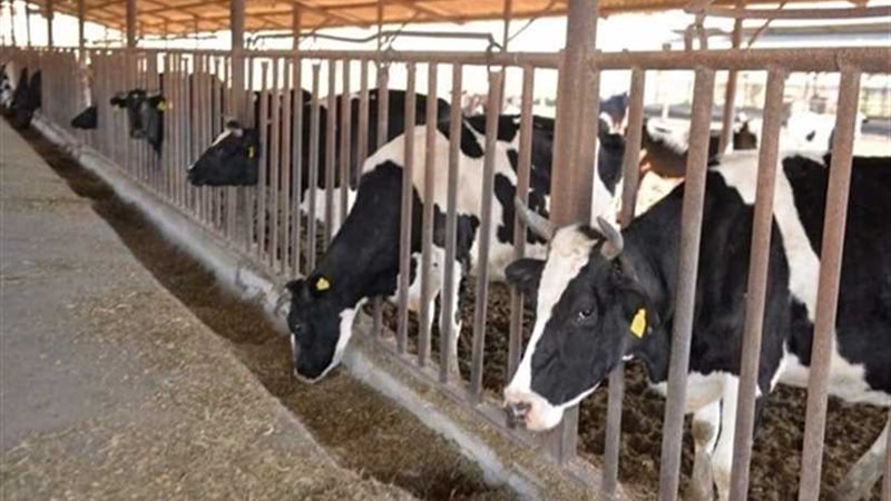 الزراعة تصدر نصائح